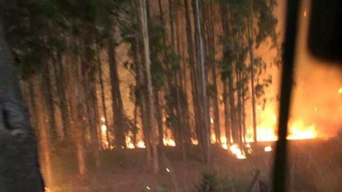 Onemi declaró alerta roja para Ercilla y Collipulli por incendio forestal
