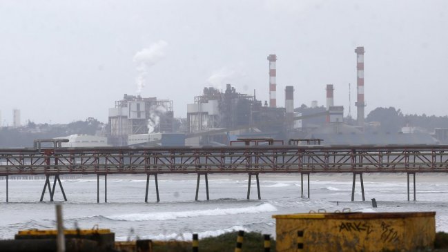 Superintendencia recibió más de 1.700 denuncias por crisis ambiental en Quintero