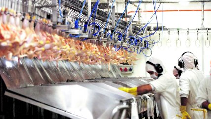   Peso a Peso: La multa a los supermercados por la colusión de los pollos 