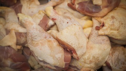  Odecu: Lograr compensar al consumidor es un camino difícil  