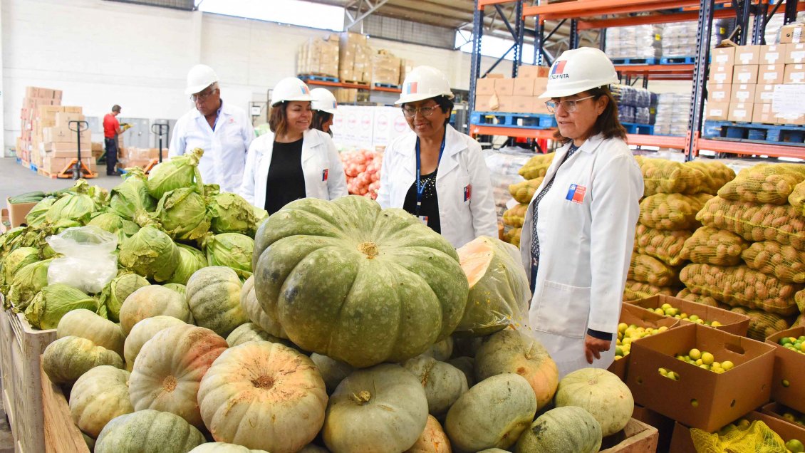 Preparaciones aymara llegarán a colegios rurales de Arica y Parinacota