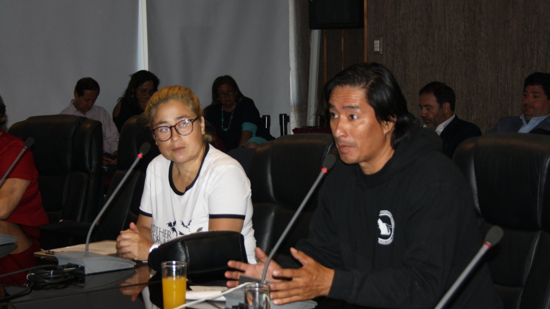 Aprueban entregar inmuebles a asociaciones sociales y animalistas en Tarapacá