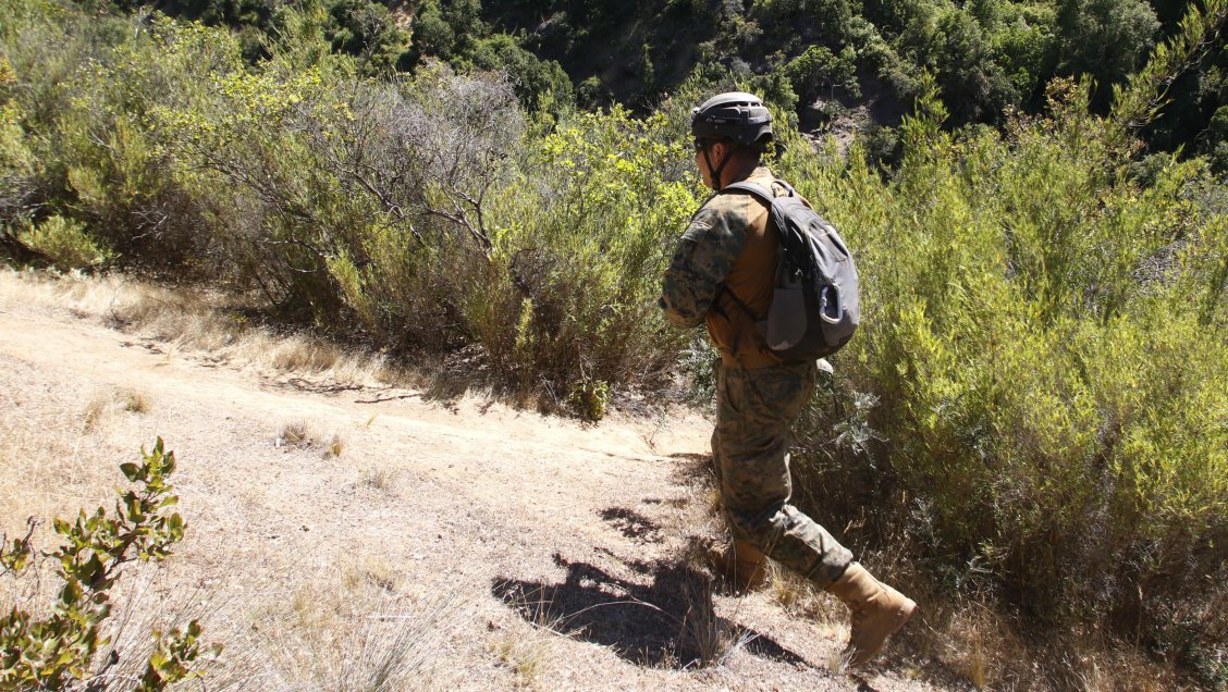 Agricultores de La Araucanía pedirán al Gobierno extensión del estado de excepción