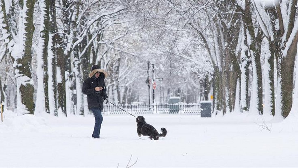 Fuertes nevadas obligaron a cerrar escuelas en Nueva York