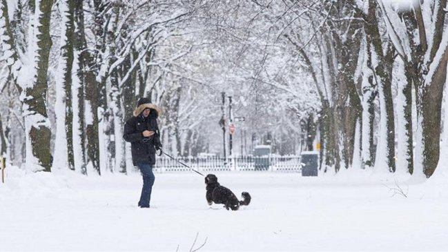 Fuertes nevadas obligaron a cerrar escuelas en Nueva York