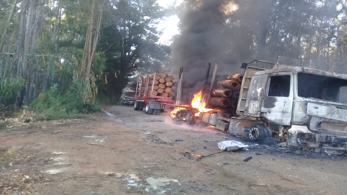 Contratistas forestales piden 