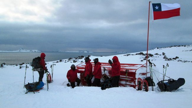 La actividad humana perturba gran parte del área sin hielo de la Antártida