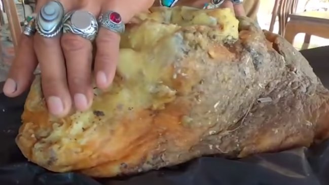 Dueño de un bar encontró el vómito de una ballena que puede valer una fortuna