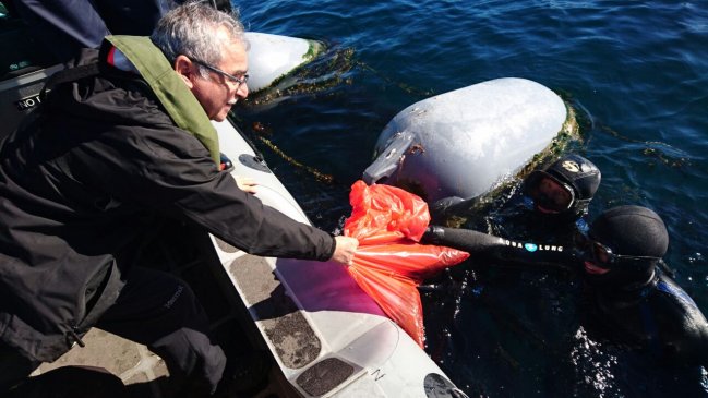 Millonaria multa deberá pagar salmonera por contaminación en Lago Llanquihue