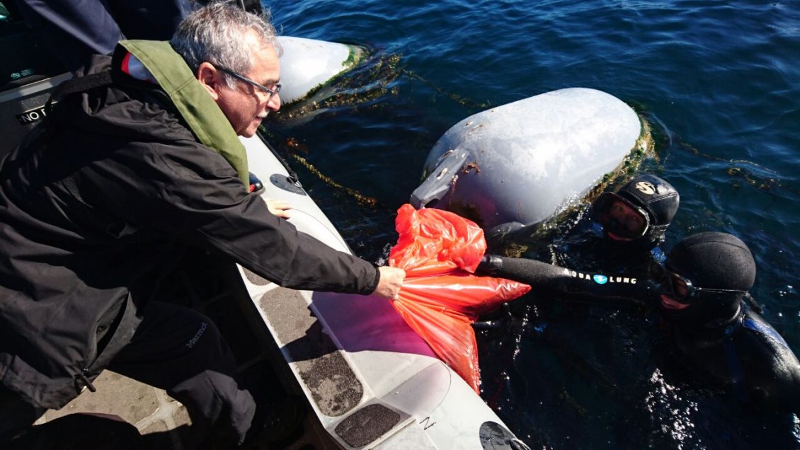 Millonaria multa deberá pagar salmonera por contaminación en Lago Llanquihue