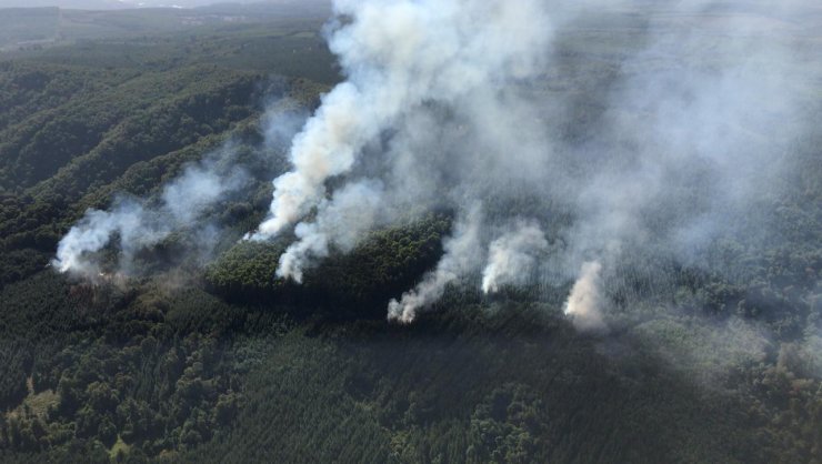 Fiscalía y Carabineros revisan avances de investigaciones por incendios forestales en Ñuble