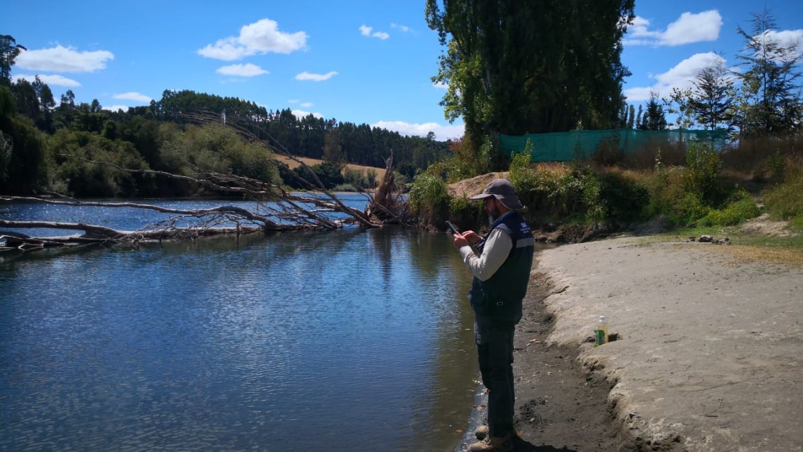Autorizan paralización parcial de piscicultura cercana al Río Bueno por obra no considerada en su evaluación ambiental