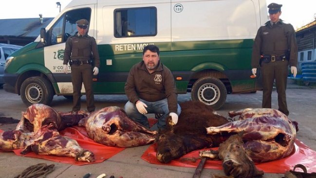 Detuvieron a un hombre que transportaba carne faenada de vacuno y equino