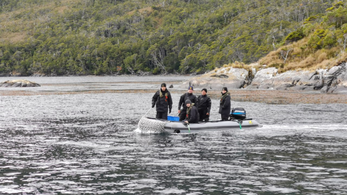 Magallanes: Pescador desapareció tras caer al Canal Magdalena