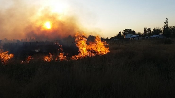 Ñuble: Activan alerta amarilla por incendios forestales en San Fabián y Coihueco