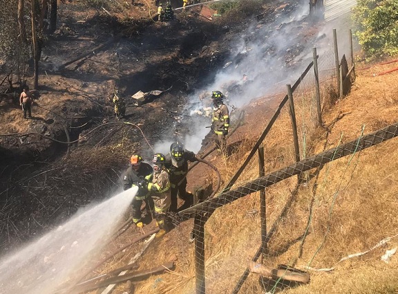 Siete casas afectadas y 29 damnificados tras incendio forestal de Viña del Mar