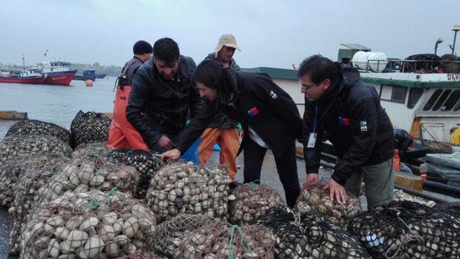 Desapareció la marea roja en la zona sur de Quellón