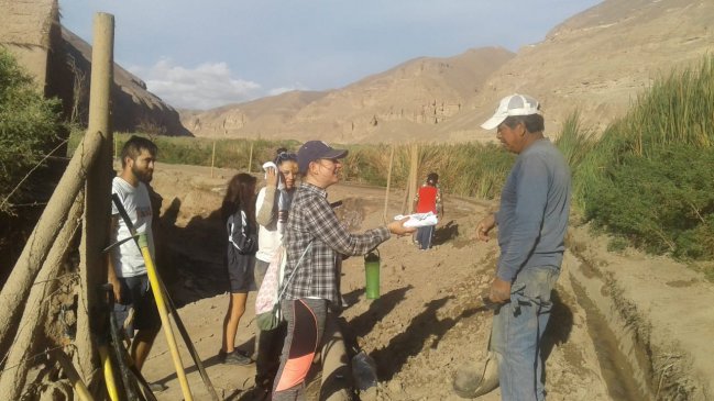 Pozo Almonte: Mejoran canal de regadío en Tamentica