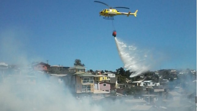 Incendio forestal en Viña del Mar obliga a decretar alerta roja