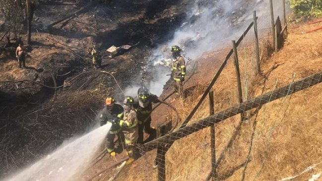 Siete casas afectadas y 29 damnificados tras incendio forestal de Viña del Mar