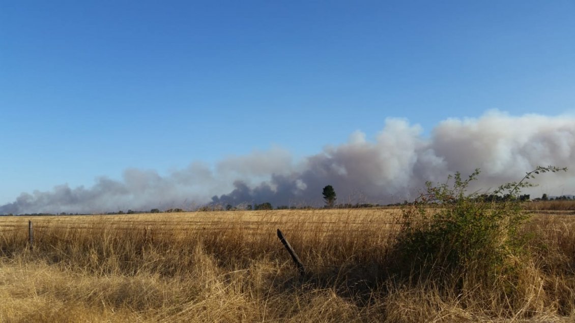 Decretan Alerta Roja En La Provincia De Cautín Por Incendios Forestales