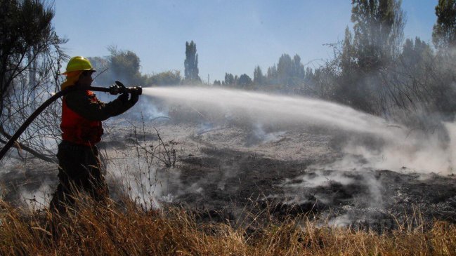 Más de 1.000 hectáreas afectadas por incendio forestal en San Fabián y Coihueco