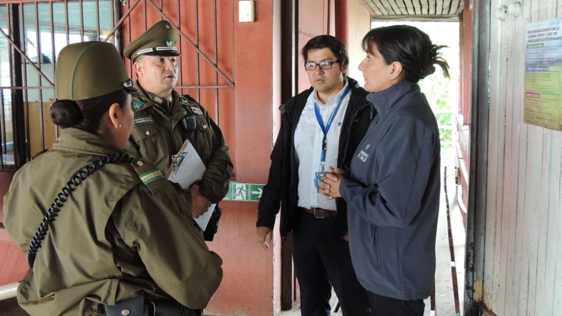 Fiscalía de Bulnes avanza en tres líneas de investigación por robo en feria agrícola