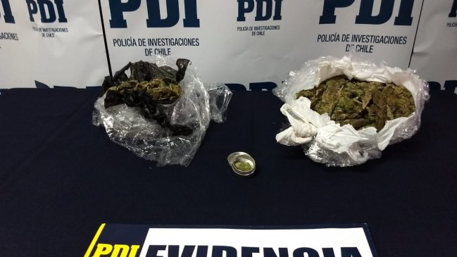 Perro policial delató a joven que trasportaba 12 millones de pesos en marihuana