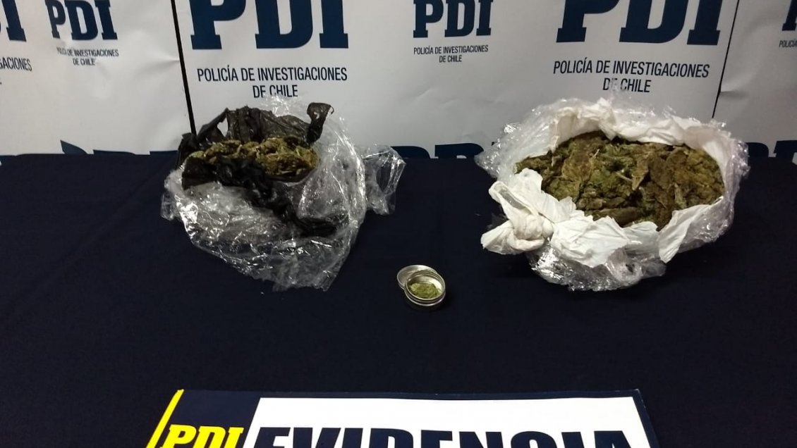Perro policial delató a joven que trasportaba 12 millones de pesos en marihuana