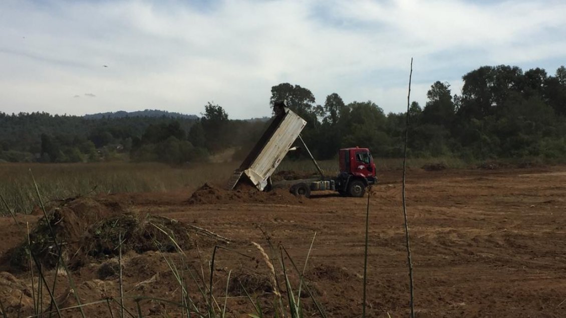 Valdivia: Denuncian relleno de terreno considerado en el Plan Nacional de Protección de Humedales
