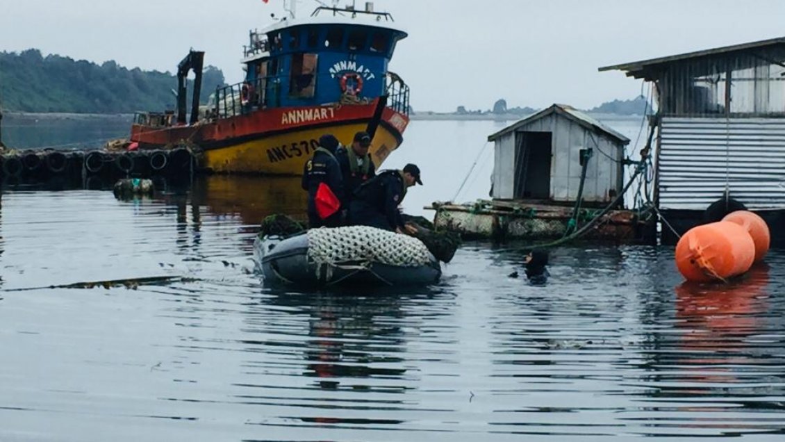 Ancud: Armada decomisa más de dos toneladas de almejas