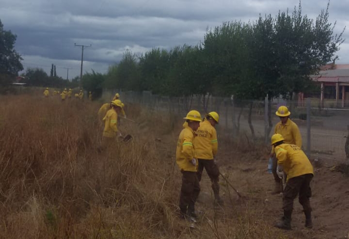 Más de 520 kilómetros de cortafuegos se han construido en Ñuble esta temporada