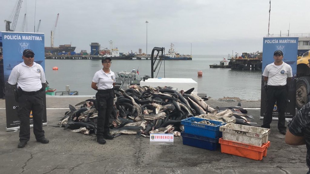 Arica: Embarcación peruana fue sorprendida en aguas nacionales con casi tres toneladas de pesca