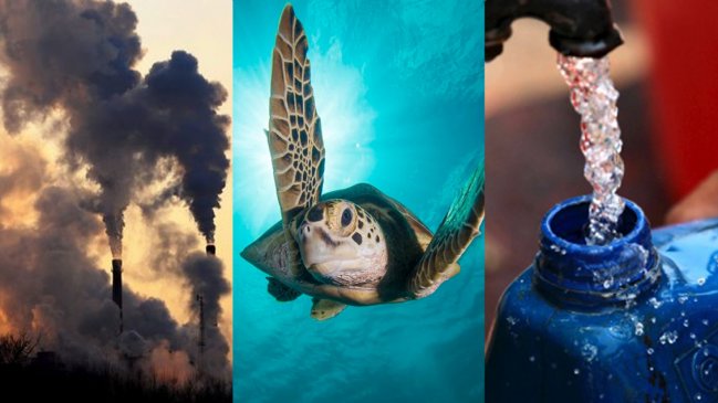 Las cinco claves del preocupante Informe Mundial de Medioambiente de la ONU