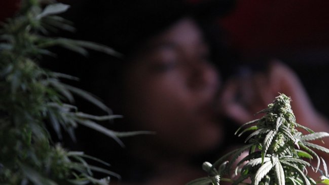 Decálogo de la ONU para 