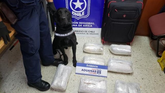 Curiosa receta: Sorprenden a dos chefs y un garzón ingresando cocaína por Arica