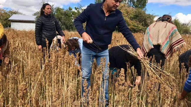Alcalde de Río Bueno firmó por RN a meses de renunciar a la UDI