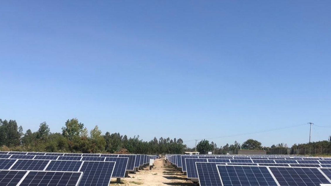 Entra en funcionamiento parque fotovoltaico El Queule en Las Cabras