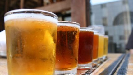   Senda y consumo de alcohol: Se deben informar los efectos nocivos a la población 