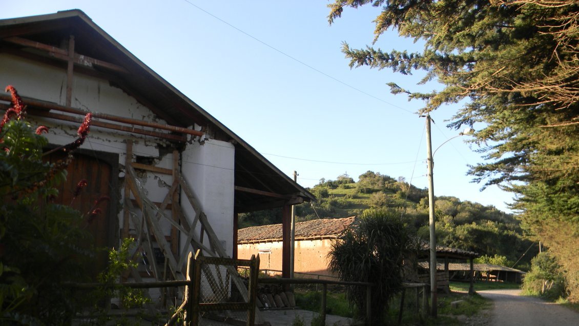 Comienzan proyectos comunitarios para proteger el patrimonio natural en Putú y Huenchullamí