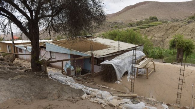 Destinan ayuda para agricultores que sufrieron daños por lluvias estivales en Tarapacá