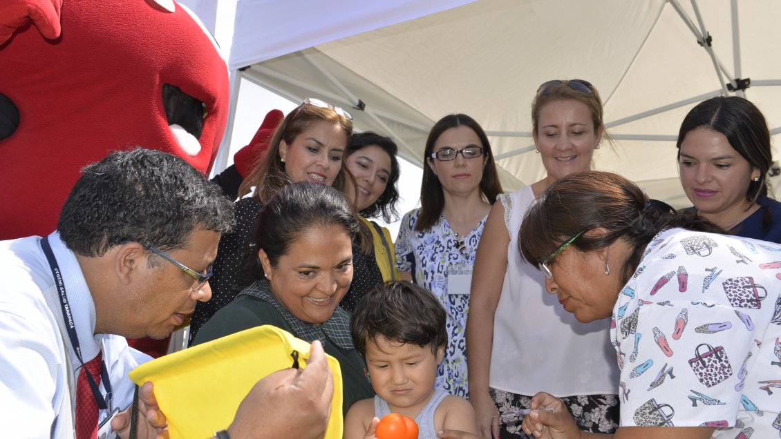 Tarapacá: Salud estima en más de 120.000 las personas que deben vacunarse contra la influenza