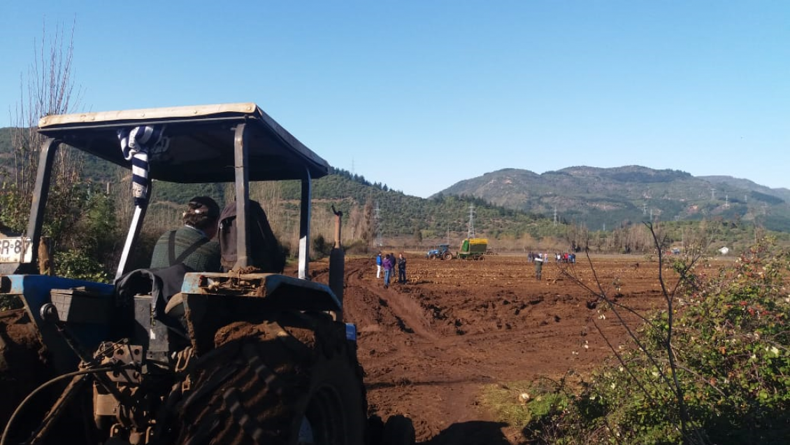 Linares: Gobierno entregó recursos a remolacheros tras cierre de Iansa