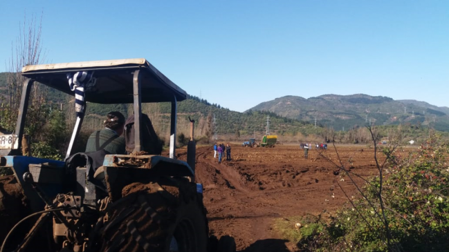 Linares: Gobierno entregó recursos a remolacheros tras cierre de Iansa