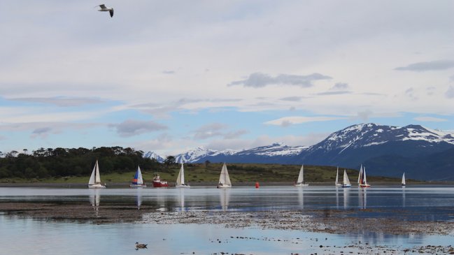 Municipio de Cabo de Hornos acordó oponerse a la instalación de salmoneras