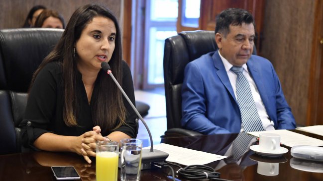 Tarapacá: Cores y gestores culturales indignados con directora regional de Sernatur
