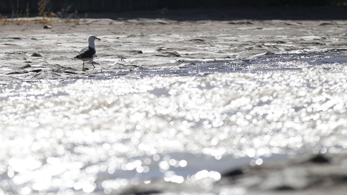 El 67% de los ejecutivos chilenos ve 