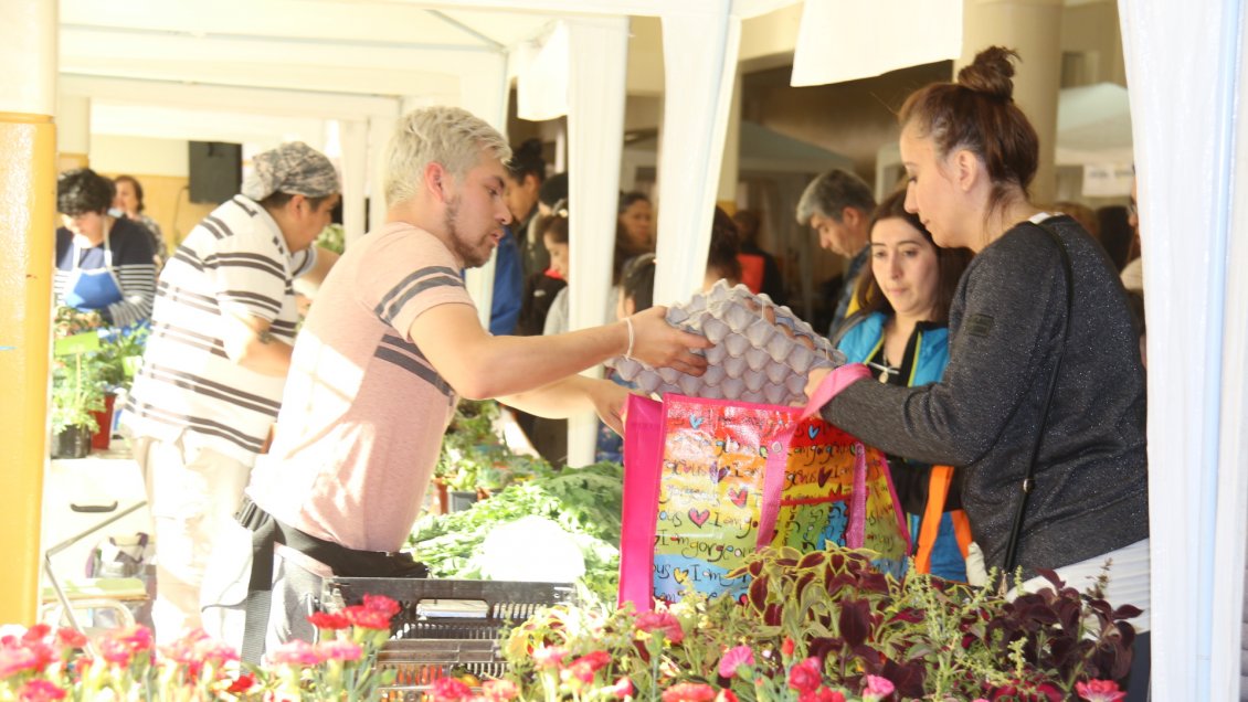 Punta Arenas: Más de 15 mil personas participaron en las ferias saludables