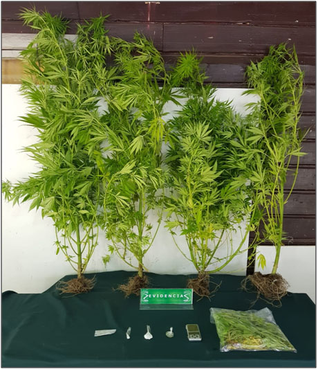 Denuncia anónima permitió incautar cocaína y marihuana en Puerto Aysén