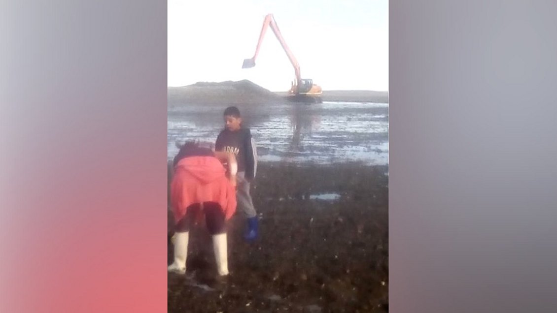 Puerto Montt: Empresa extraerá y devolverá agua al mar, vecinos temen contaminación